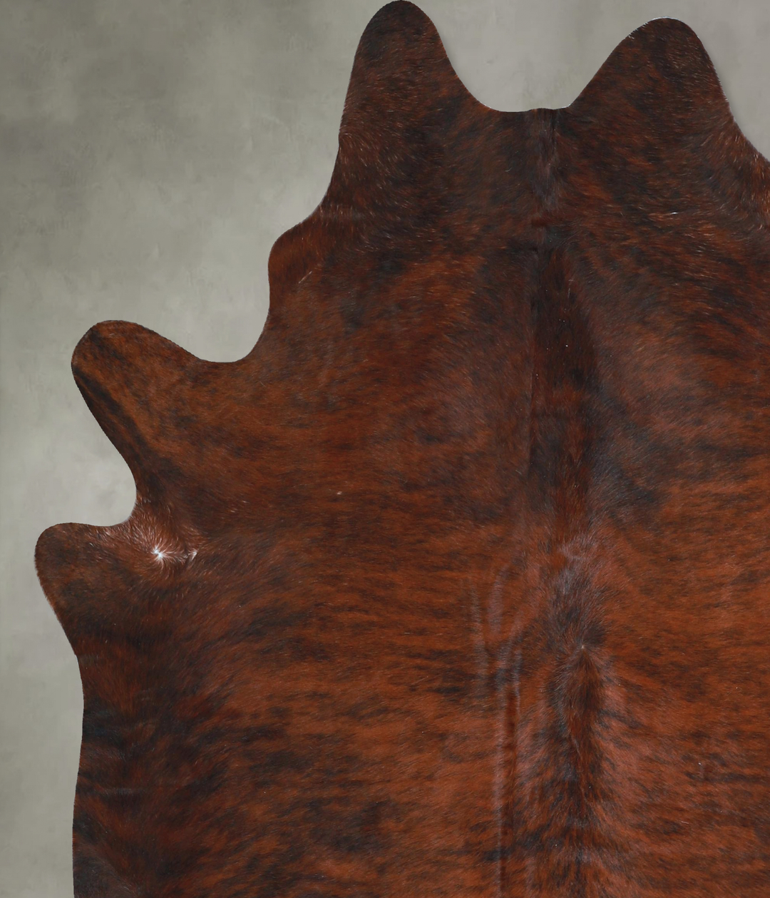 Dark Brindle X-Large Brazilian Cowhide Rug 7'5"H x 6'2"W #A48359 by Hu
