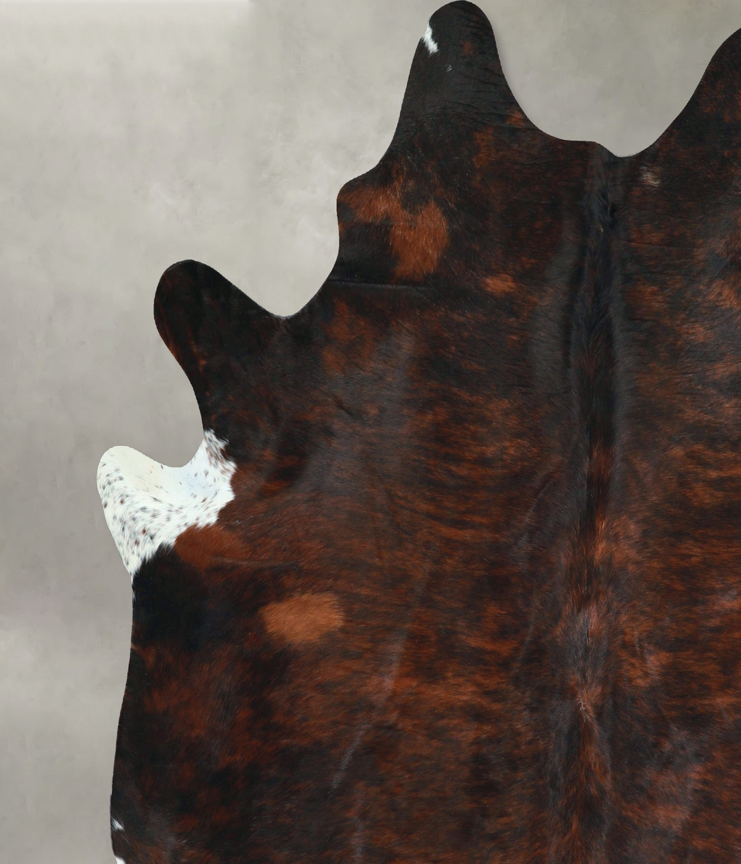 Dark Brindle XX-Large Brazilian Cowhide Rug 8'2"H x 7'2"W #A48371 by H