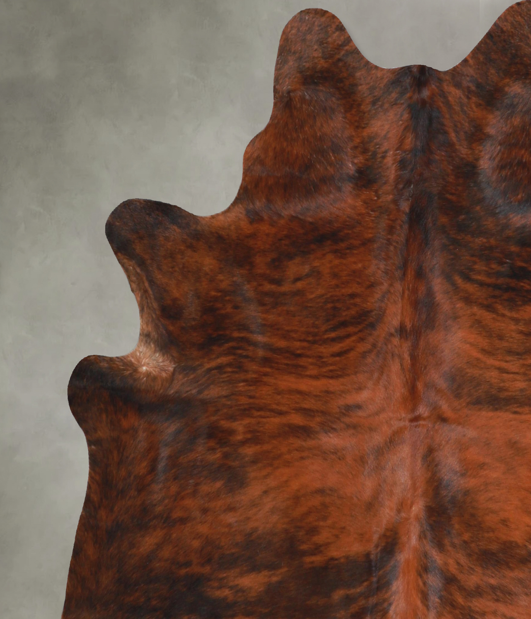 Dark Brindle Large Brazilian Cowhide Rug 6'2"H x 5'11"W #A48378 by Hud