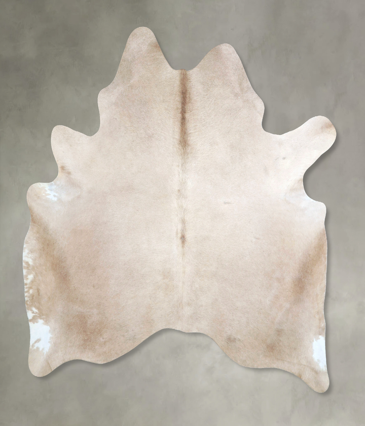 Champagne X-Large Brazilian Cowhide Rug 6'7"H x 6'2"W #A48381 by Hudson Hides
