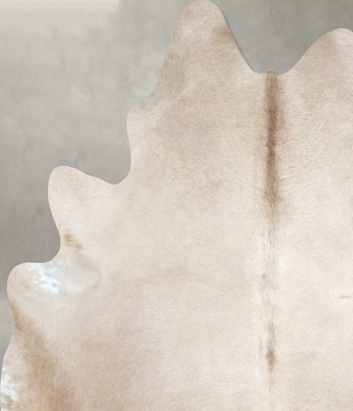 Champagne X-Large Brazilian Cowhide Rug 6'7"H x 6'2"W #A48381 by Hudson Hides