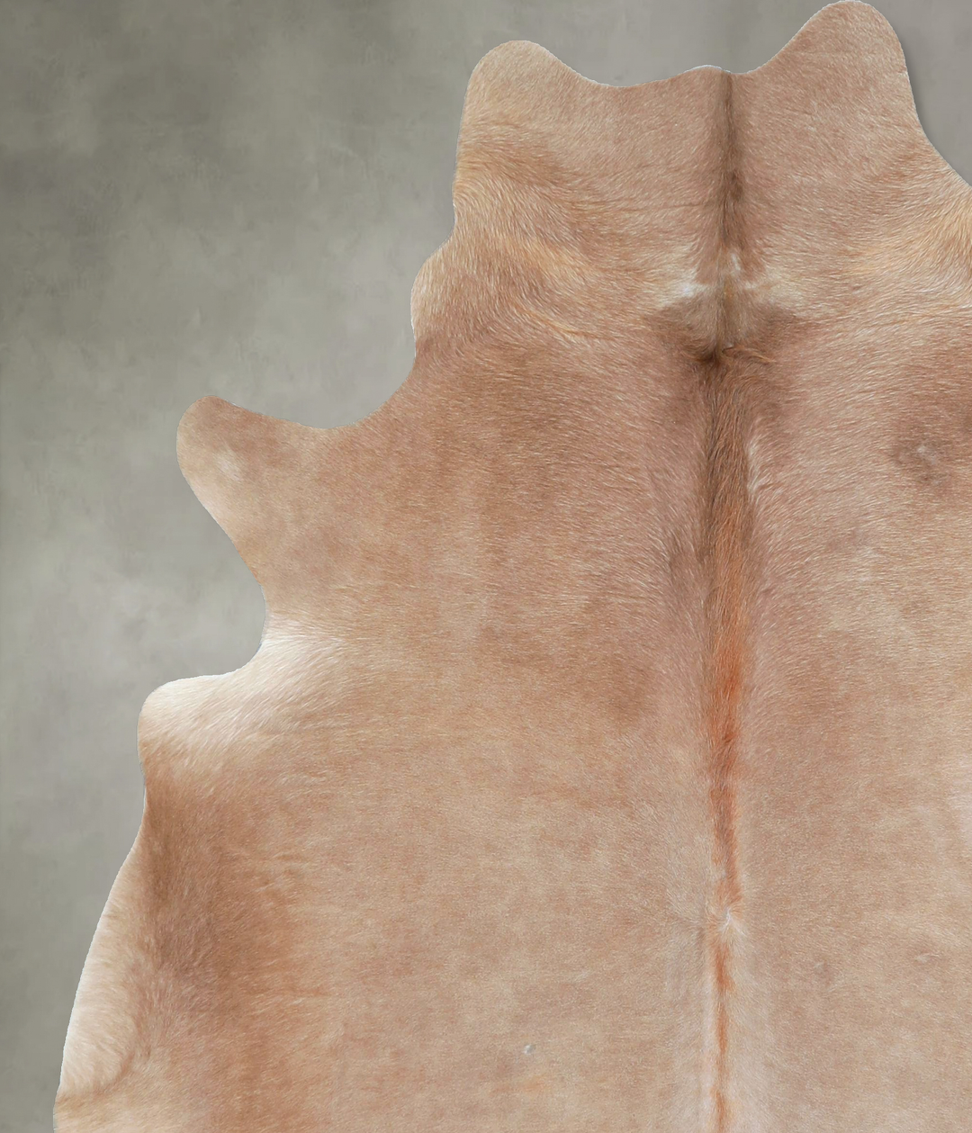 Taupe X-Large Brazilian Cowhide Rug 6'11"H x 6'3"W #A48403 by Hudson H