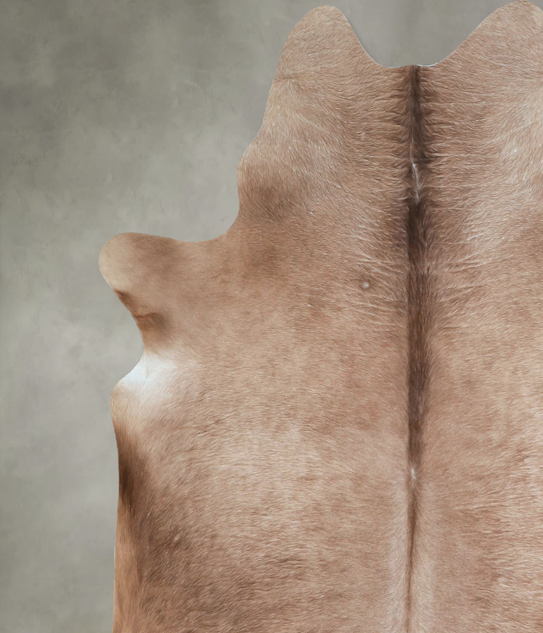 Taupe Large Brazilian Cowhide Rug 6'2"H x 6'0"W #A48404 by Hudson Hide