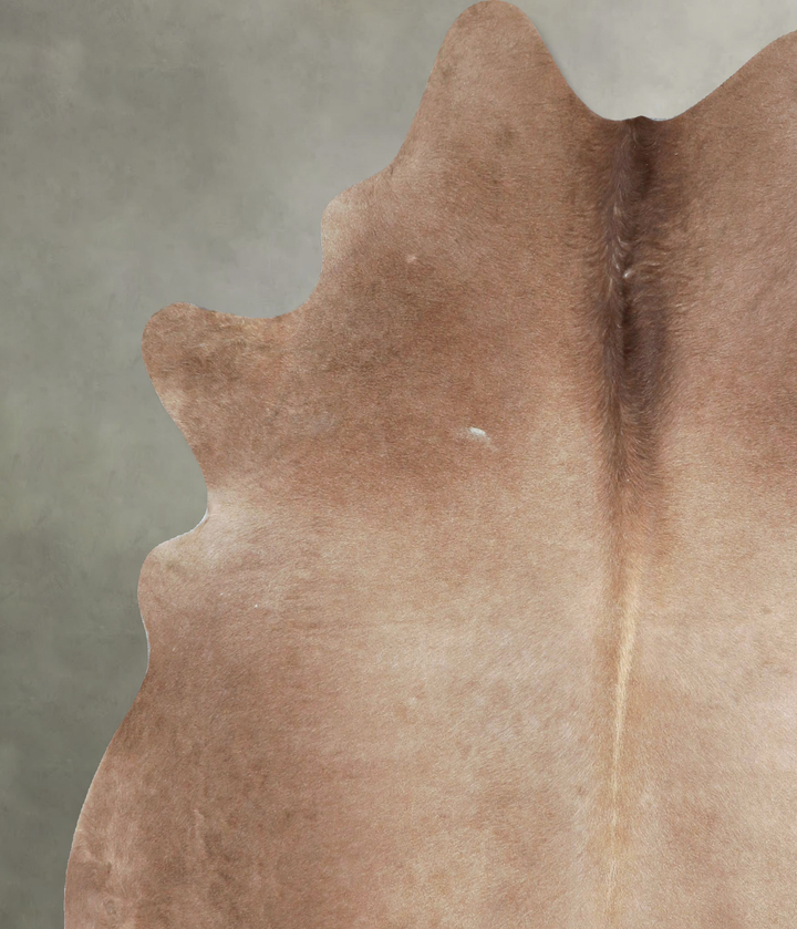 Taupe Large Brazilian Cowhide Rug 6'9"H x 5'10"W #A48409 by Hudson Hides