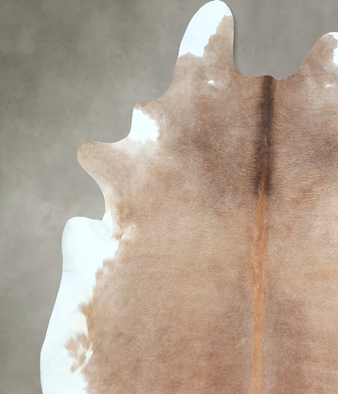 Taupe X-Large Brazilian Cowhide Rug 7'2"H x 6'8"W #A48410 by Hudson Hi