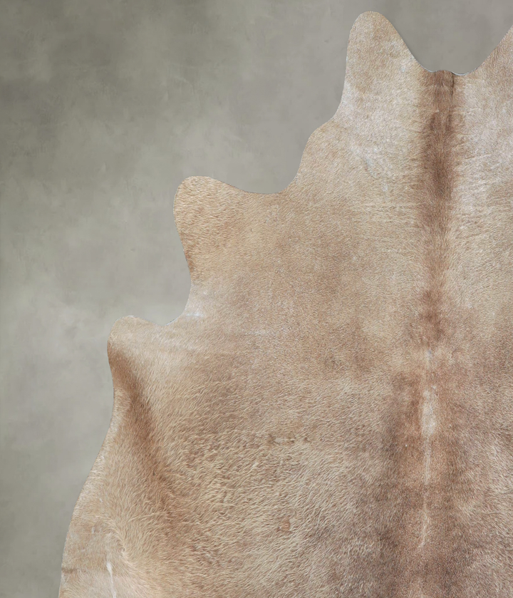 Taupe Large Brazilian Cowhide Rug 6'3"H x 6'4"W #A48415 by Hudson Hides