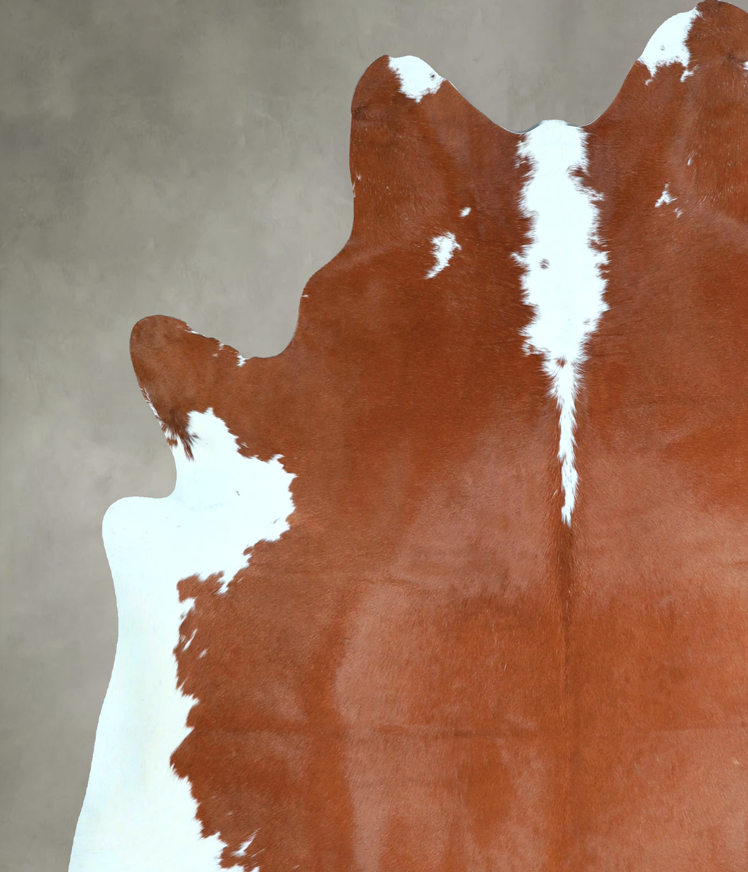 Hereford X-Large Brazilian Cowhide Rug 6'9"H x 6'4"W #A48439 by Hudson