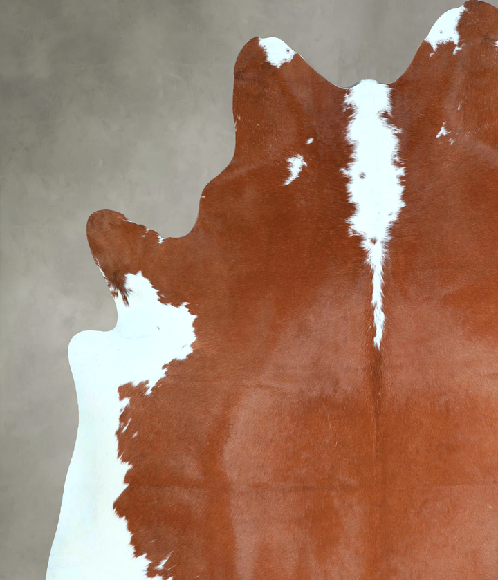 Hereford X-Large Brazilian Cowhide Rug 6'9"H x 6'4"W #A48439 by Hudson Hides