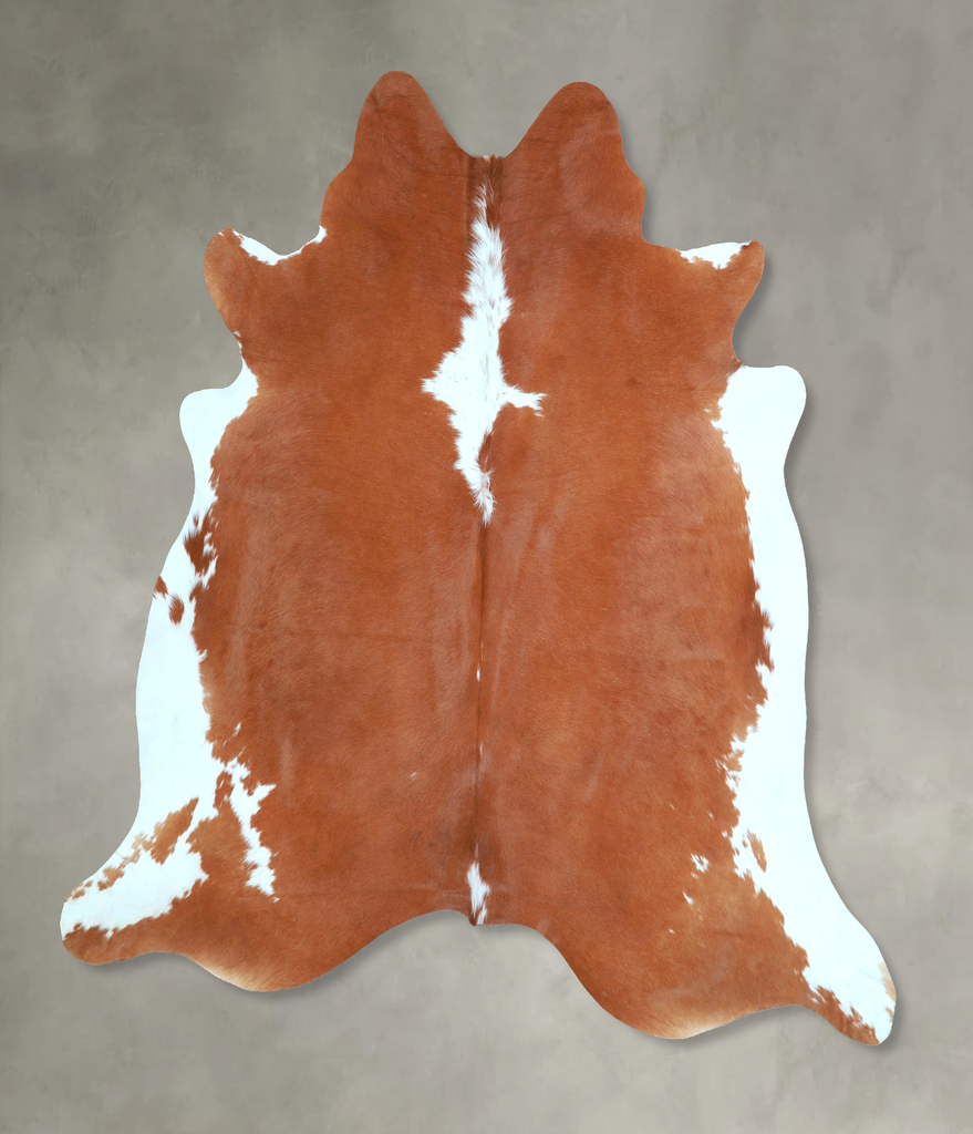 Brown and White Regular X-Large Brazilian Cowhide Rug 6'1"H x 6'8"W #A48440 by Hudson Hides