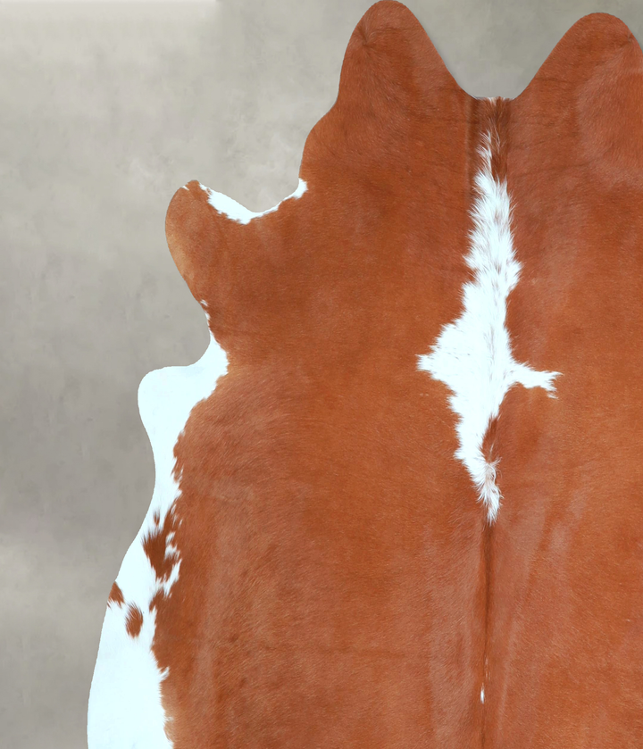 Brown and White Regular X-Large Brazilian Cowhide Rug 6'1"H x 6'8"W #A48440 by Hudson Hides