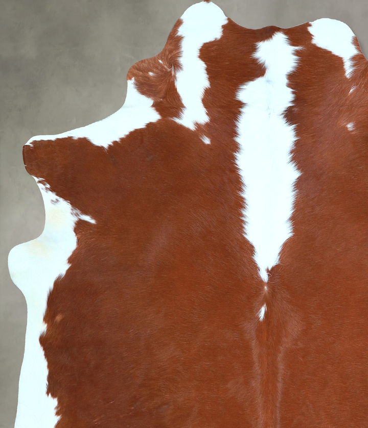 Hereford Large Brazilian Cowhide Rug 6'5"H x 6'0"W #A48443 by Hudson Hides