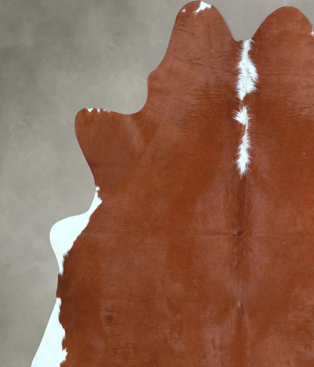 Brown and White Regular Large Brazilian Cowhide Rug 6'2"H x 6'2"W #A48