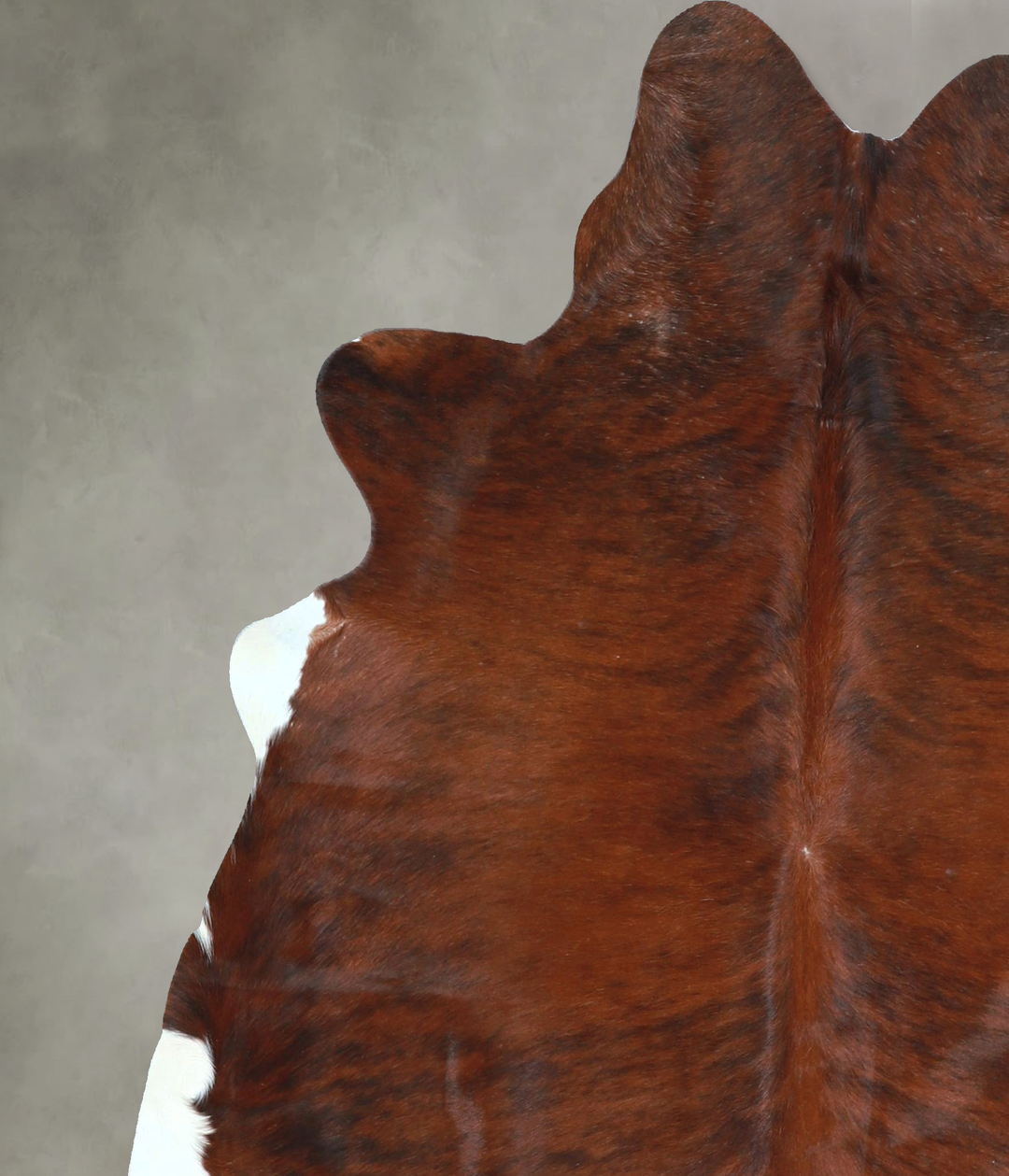 Medium Brindle Large Brazilian Cowhide Rug 6'1"H x 5'6"W #A48480 by Hu