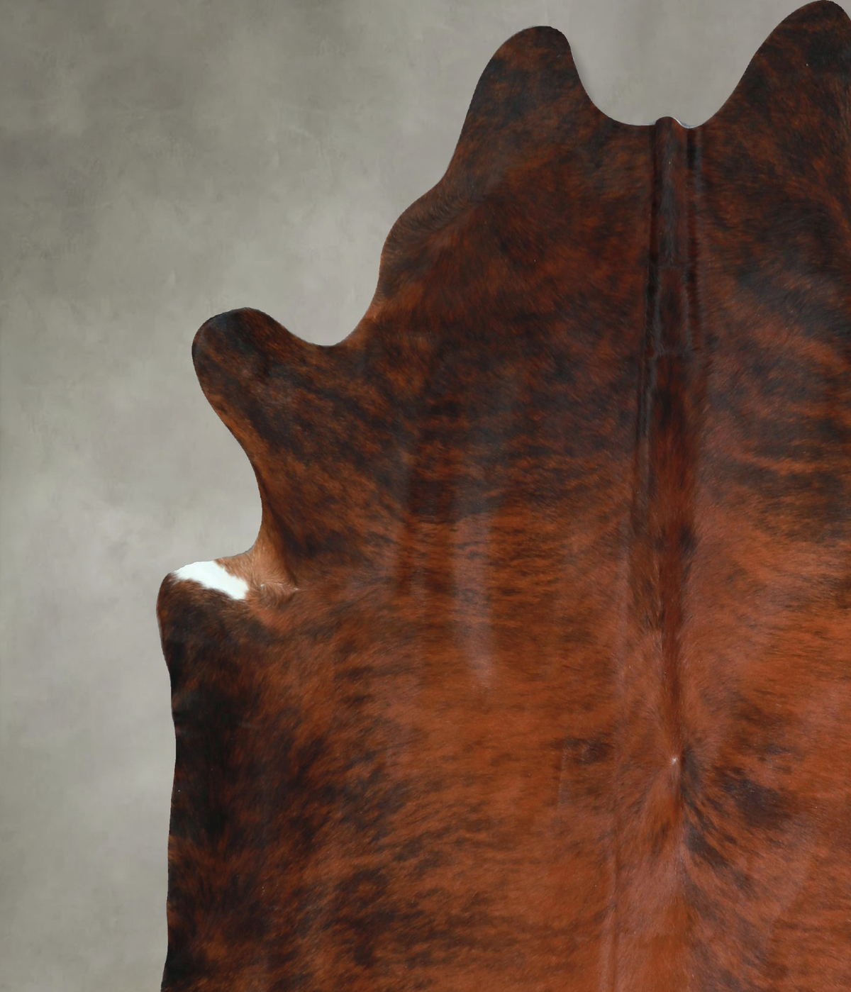 Dark Brindle X-Large Brazilian Cowhide Rug 7'3"H x 6'10"W #A48487 by Hudson Hides