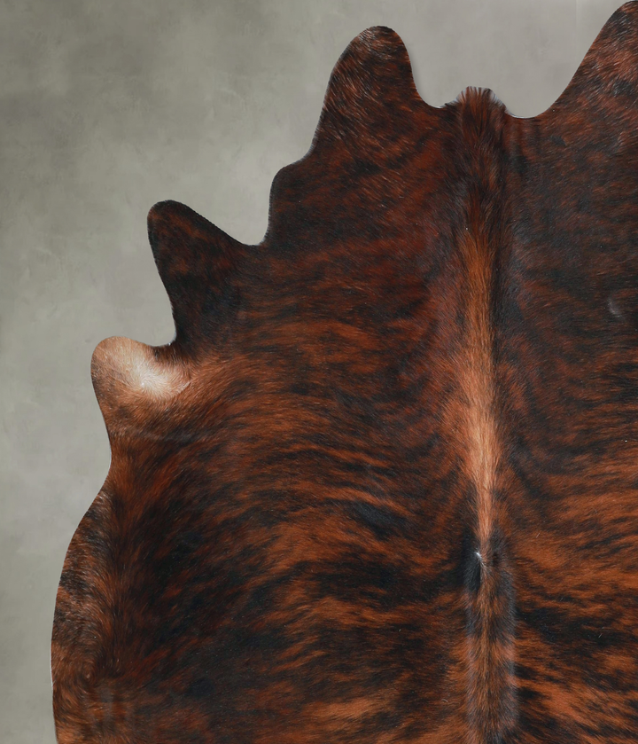 Dark Brindle X-Large Brazilian Cowhide Rug 6'11"H x 7'1"W #A48489 by Hudson Hides