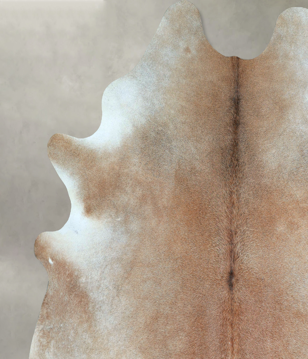 Grey with Beige XX-Large Brazilian Cowhide Rug 8'2"H x 7'2"W #A48521 b