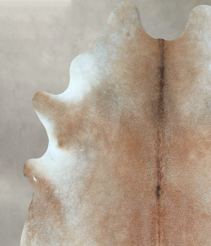 Grey with Beige XX-Large Brazilian Cowhide Rug 8'2"H x 7'2"W #A48521 by Hudson Hides