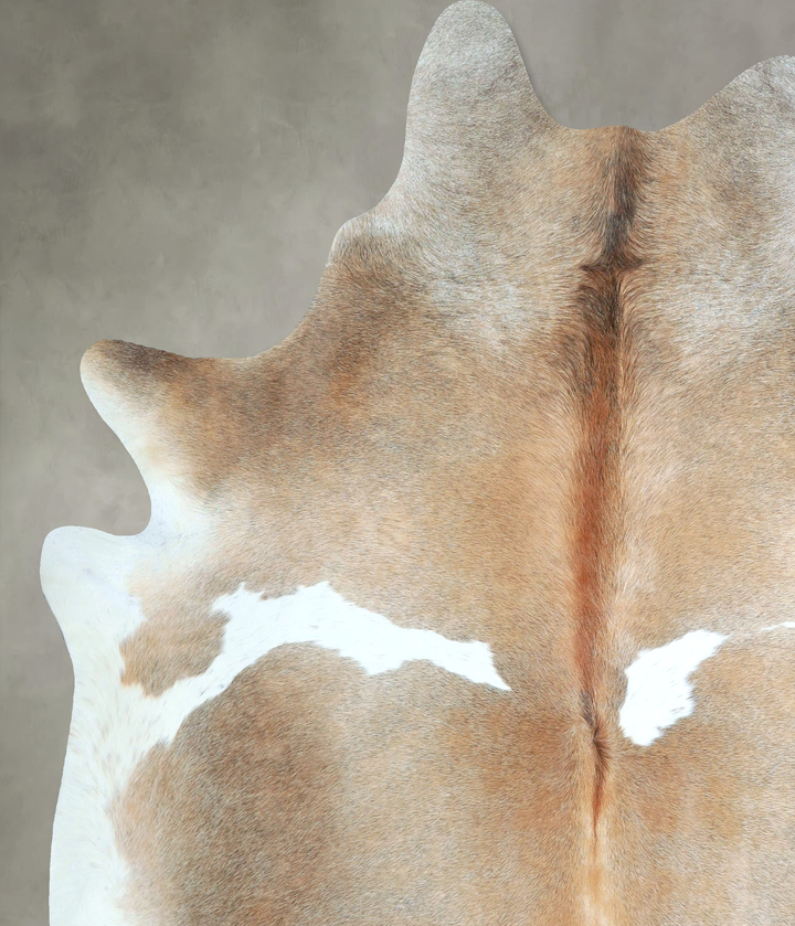 Grey with Beige X-Large Brazilian Cowhide Rug 7'5"H x 6'4"W #A48522 by Hudson Hides