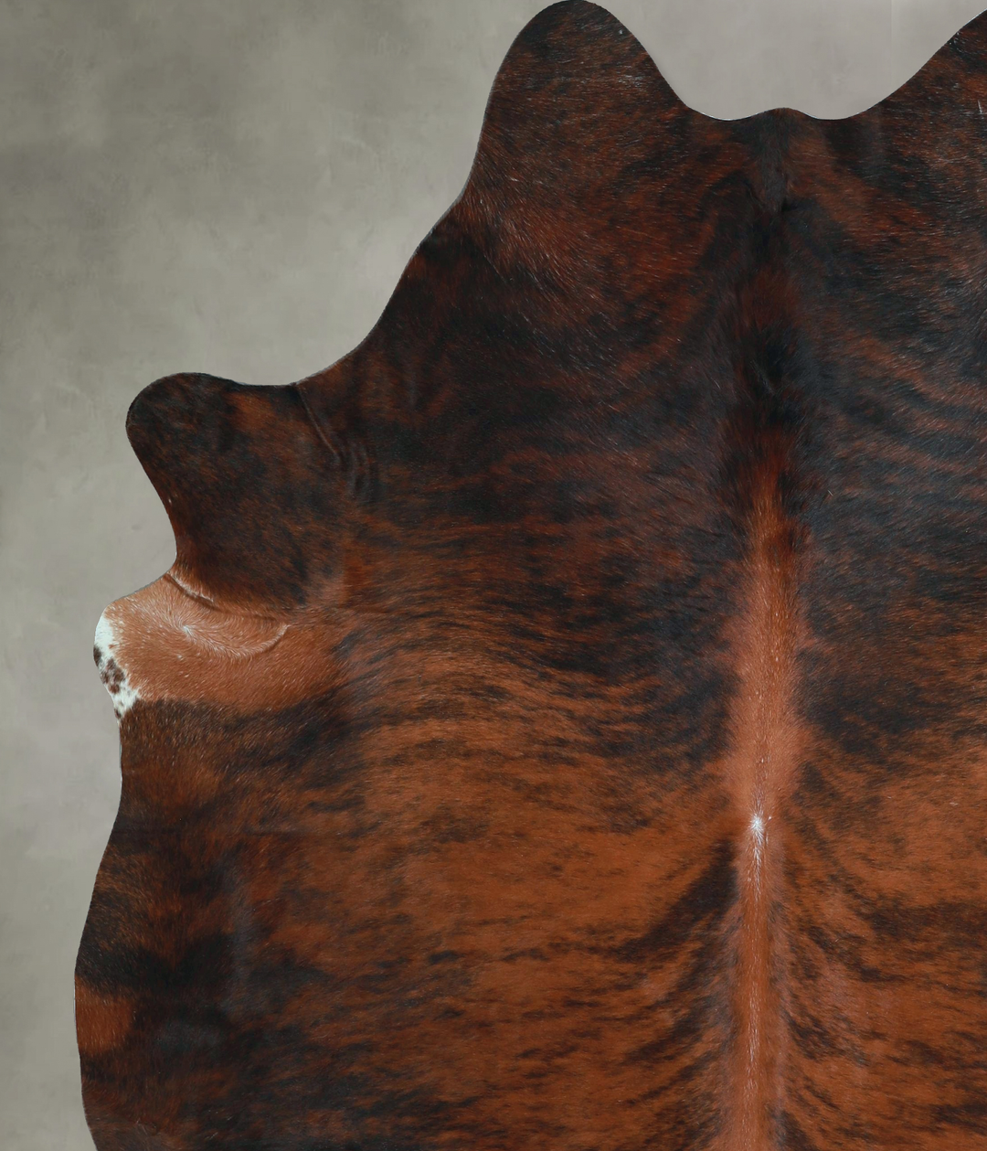 Dark Brindle XX-Large Brazilian Cowhide Rug 8'1"H x 6'10"W #A48540 by 