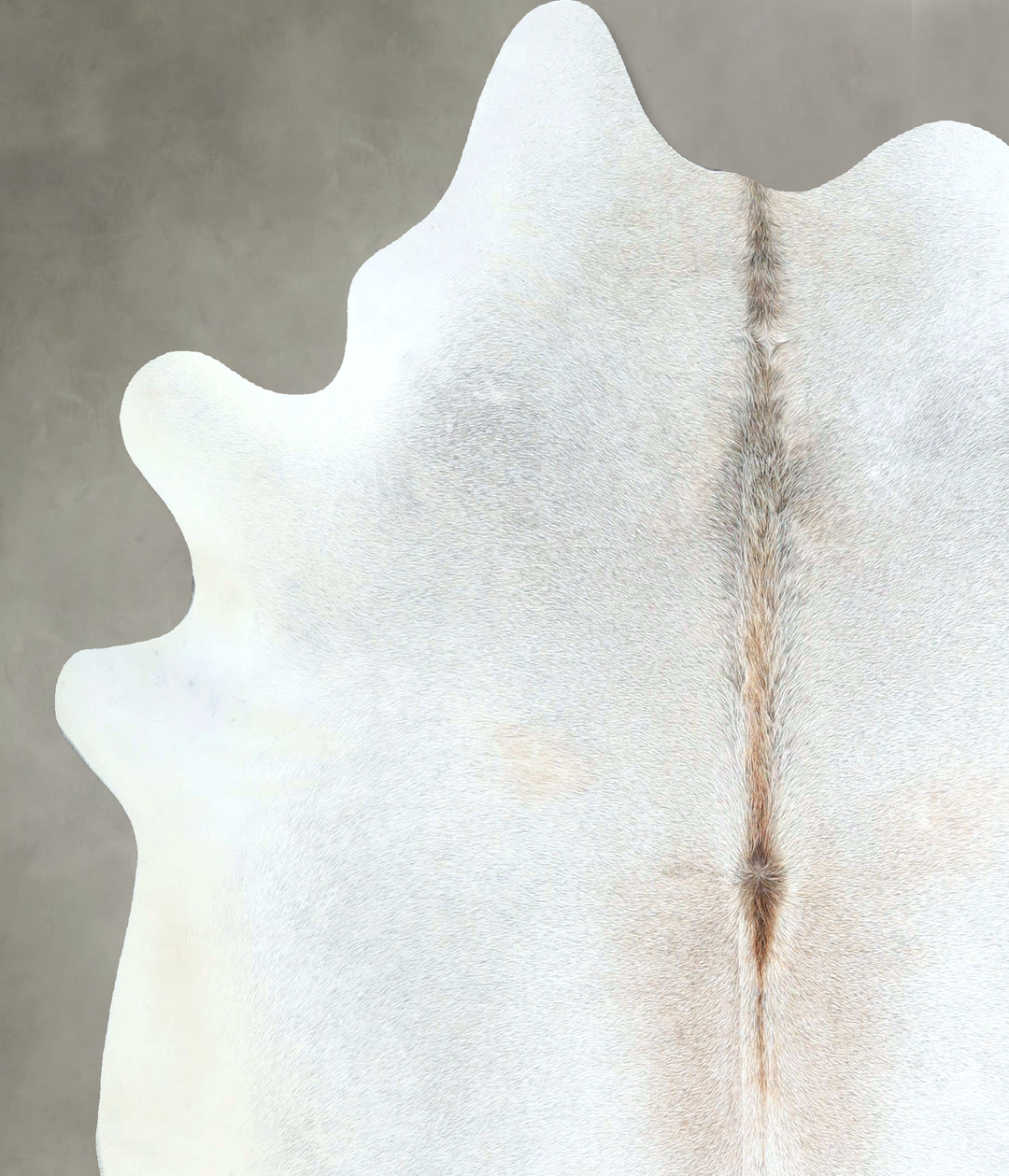 Grey with Beige Large Brazilian Cowhide Rug 6'3"H x 5'10"W #A48565 by 