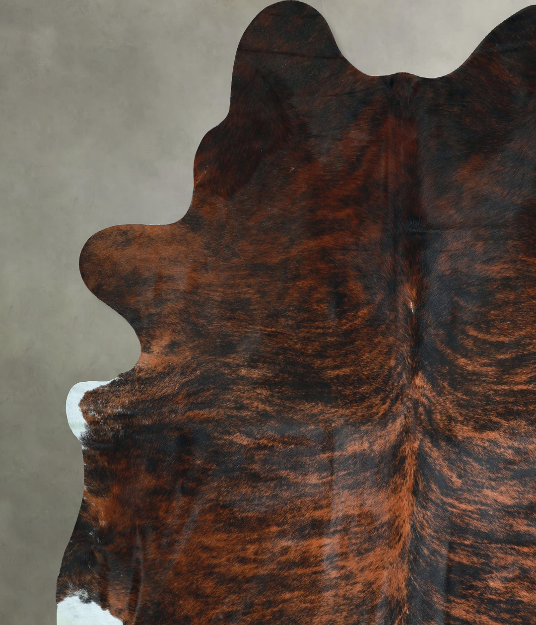 Dark Brindle XX-Large Brazilian Cowhide Rug 8'5"H x 7'8"W #A48586 by H