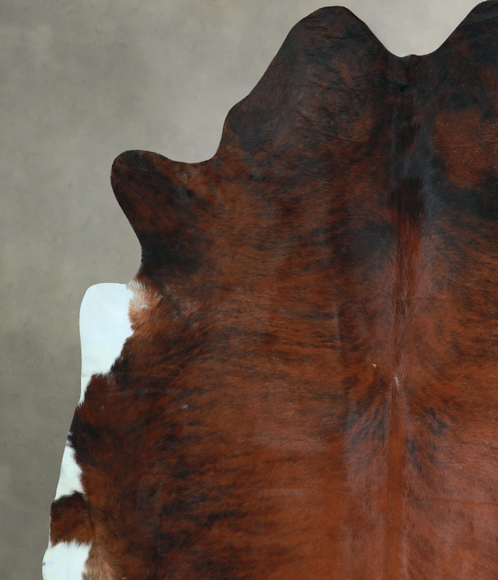 Dark Brindle XX-Large Brazilian Cowhide Rug 7'4"H x 7'1"W #A48599 by Hudson Hides