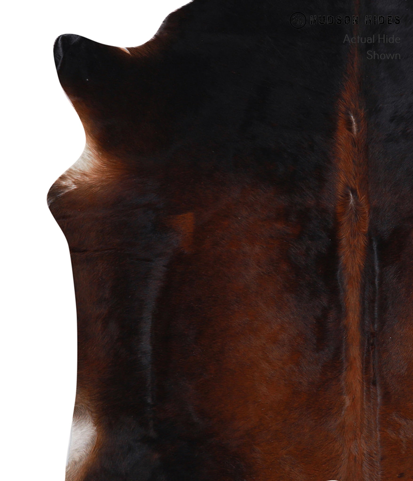 Brown with Red Cowhide Rug #A4861