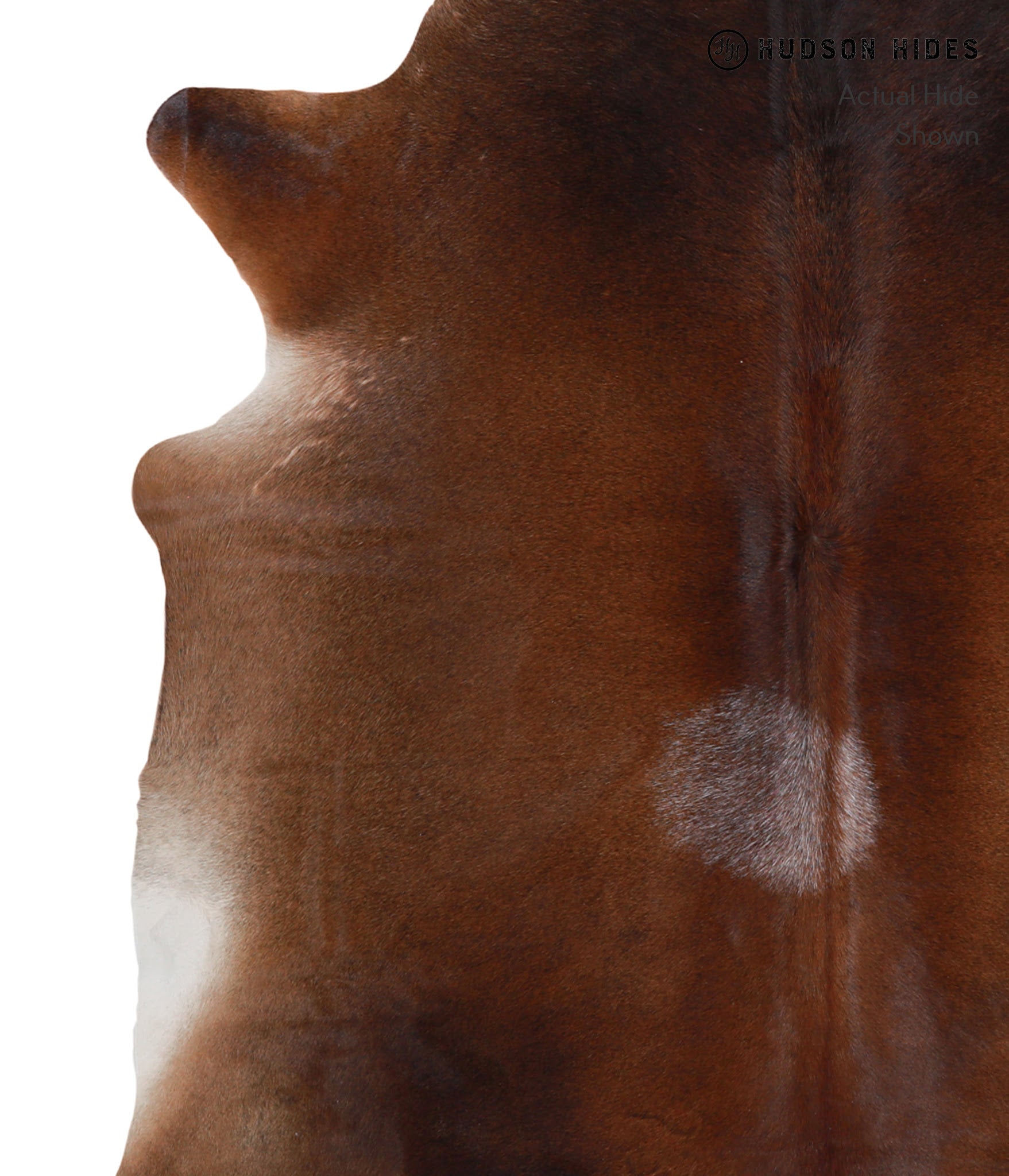 Brown with Red Cowhide Rug #A4862
