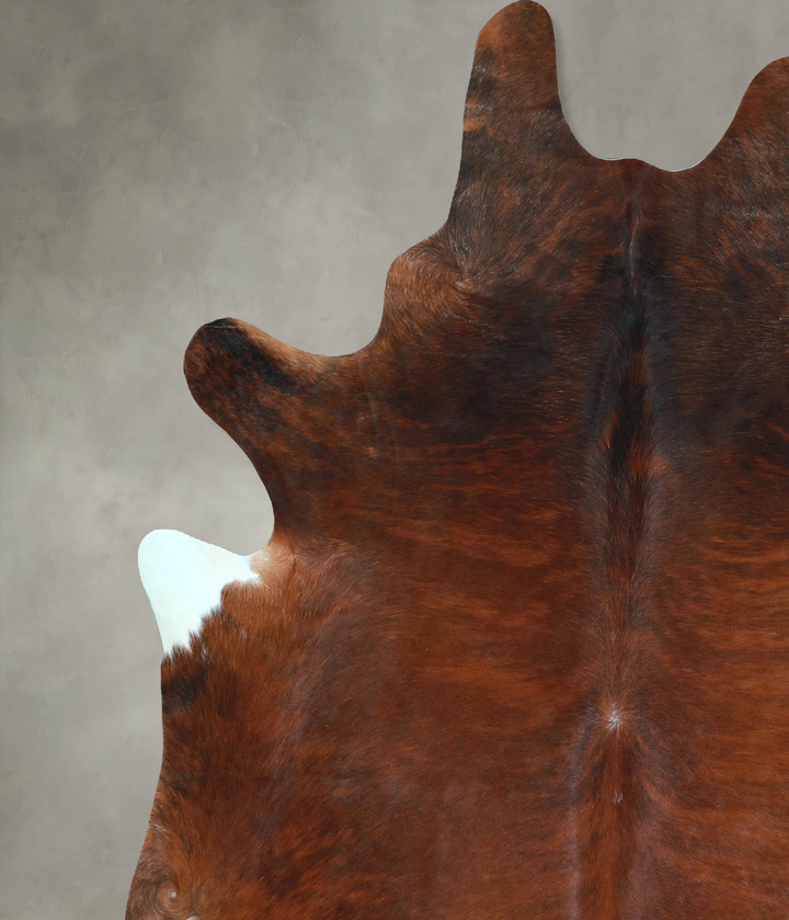 Dark Brindle XX-Large Brazilian Cowhide Rug 7'11"H x 7'0"W #A48621 by Hudson Hides