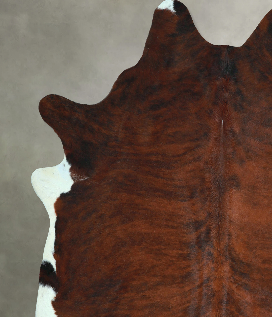 Dark Brindle XX-Large Brazilian Cowhide Rug 8'2"H x 7'0"W #A48646 by H