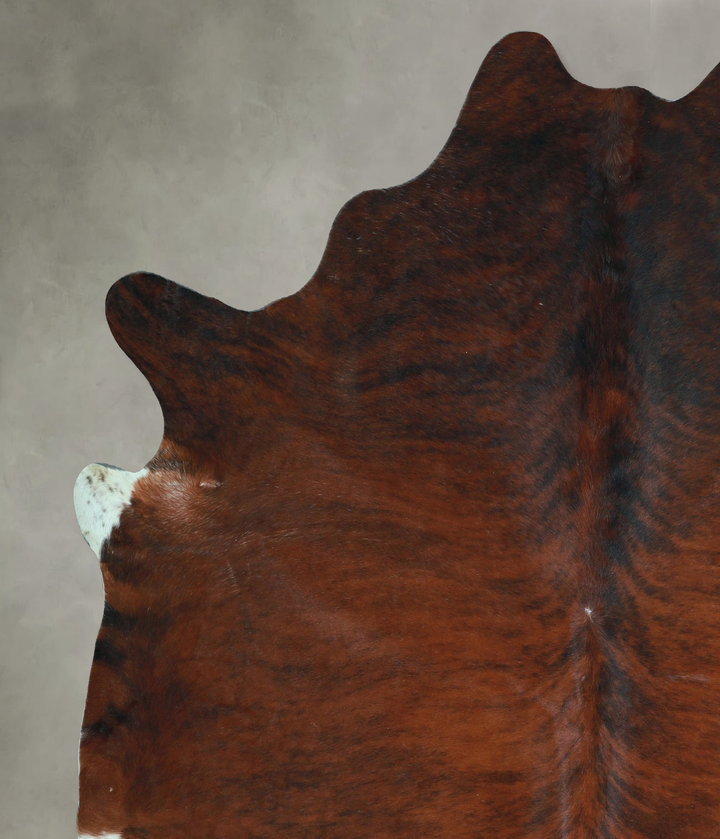 Dark Brindle XX-Large Brazilian Cowhide Rug 8'4"H x 7'10"W #A48647 by Hudson Hides