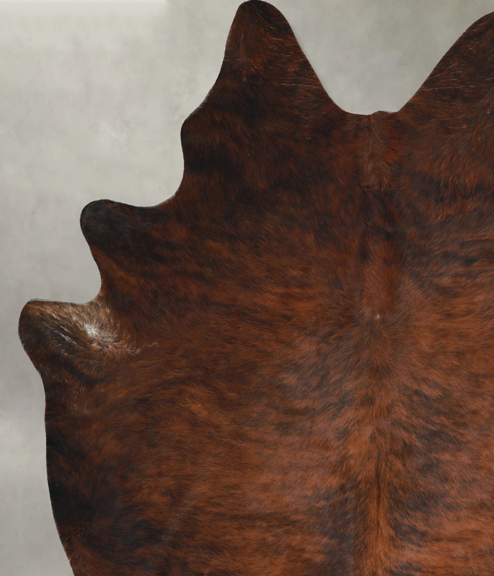 Dark Brindle XX-Large Brazilian Cowhide Rug 8'1"H x 7'0"W #A48681 by Hudson Hides