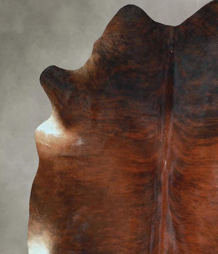 Dark Brindle XX-Large Brazilian Cowhide Rug 8'4"H x 7'7"W #A48685 by Hudson Hides