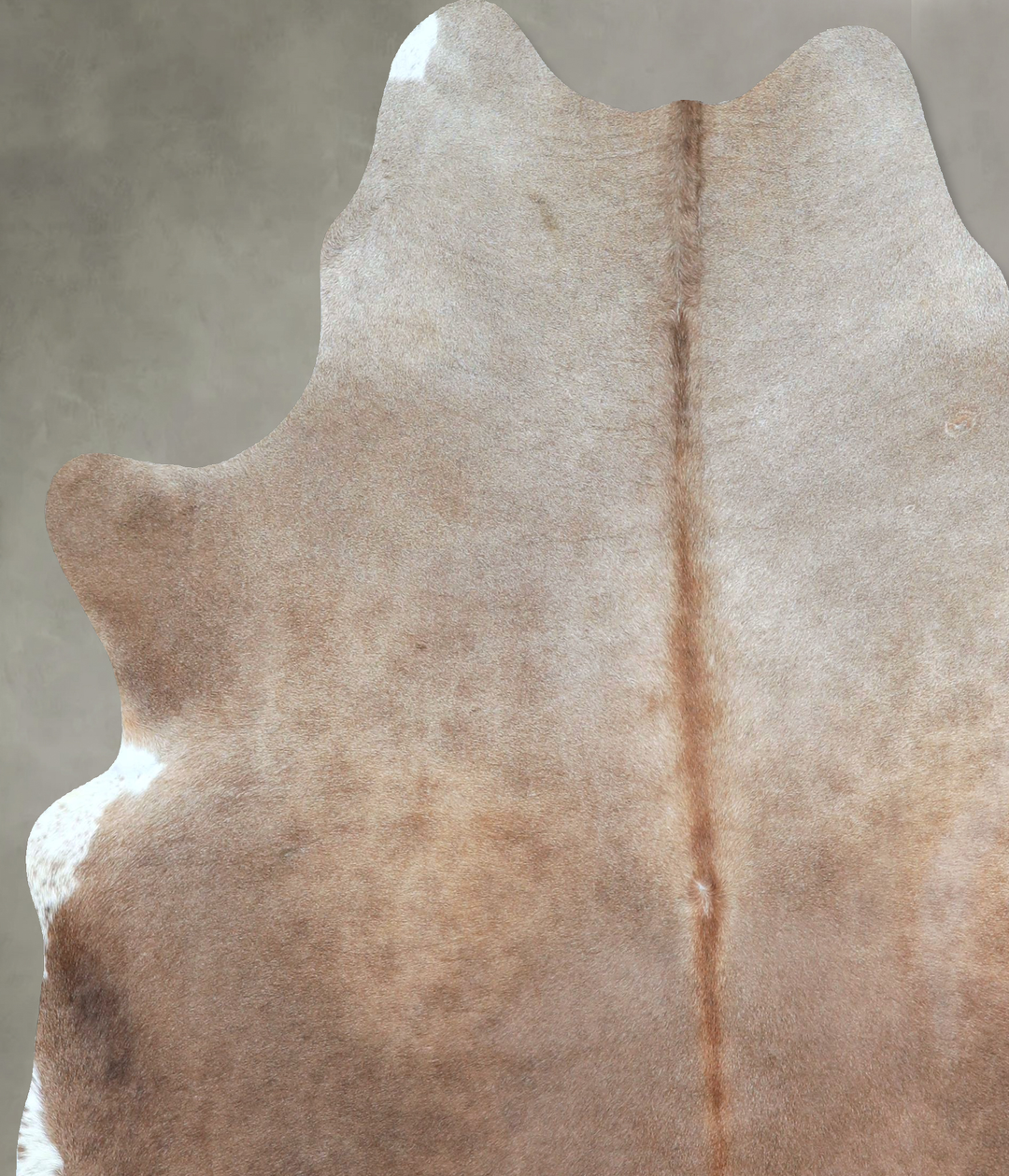 Taupe Large Brazilian Cowhide Rug 6'8"H x 5'10"W #A48706 by Hudson Hid