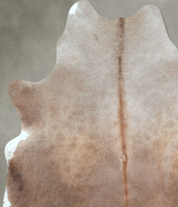 Taupe Large Brazilian Cowhide Rug 6'8"H x 5'10"W #A48706 by Hudson Hides