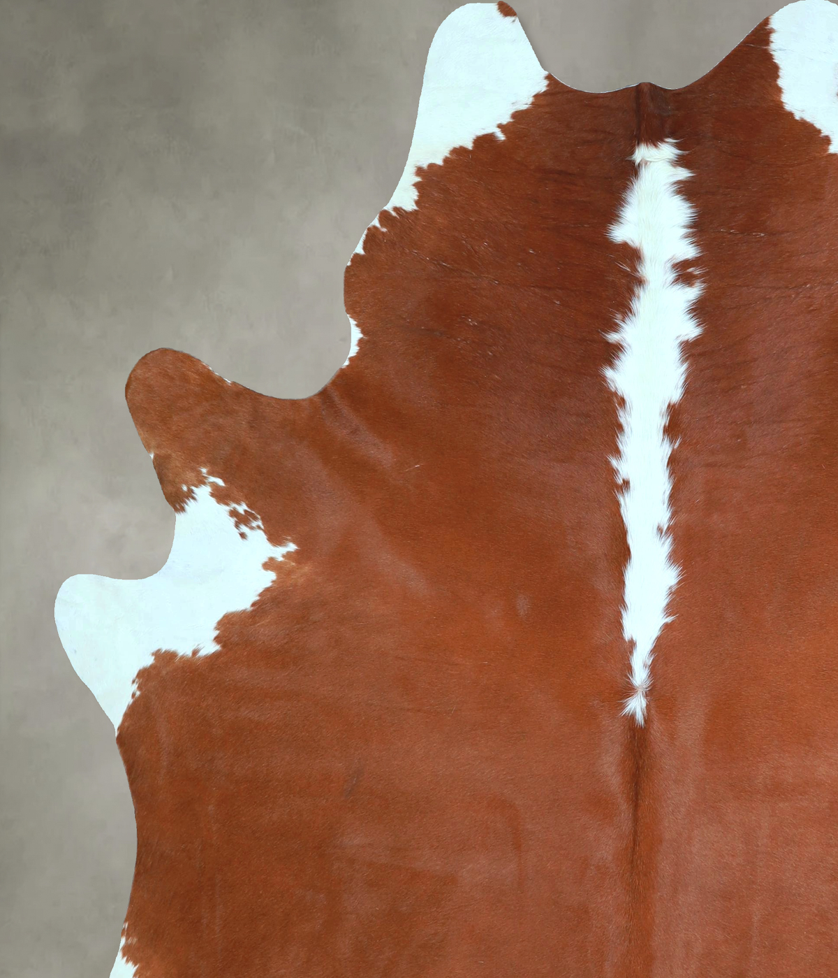 Hereford X-Large Brazilian Cowhide Rug 7'0"H x 6'0"W #A48726 by Hudson Hides
