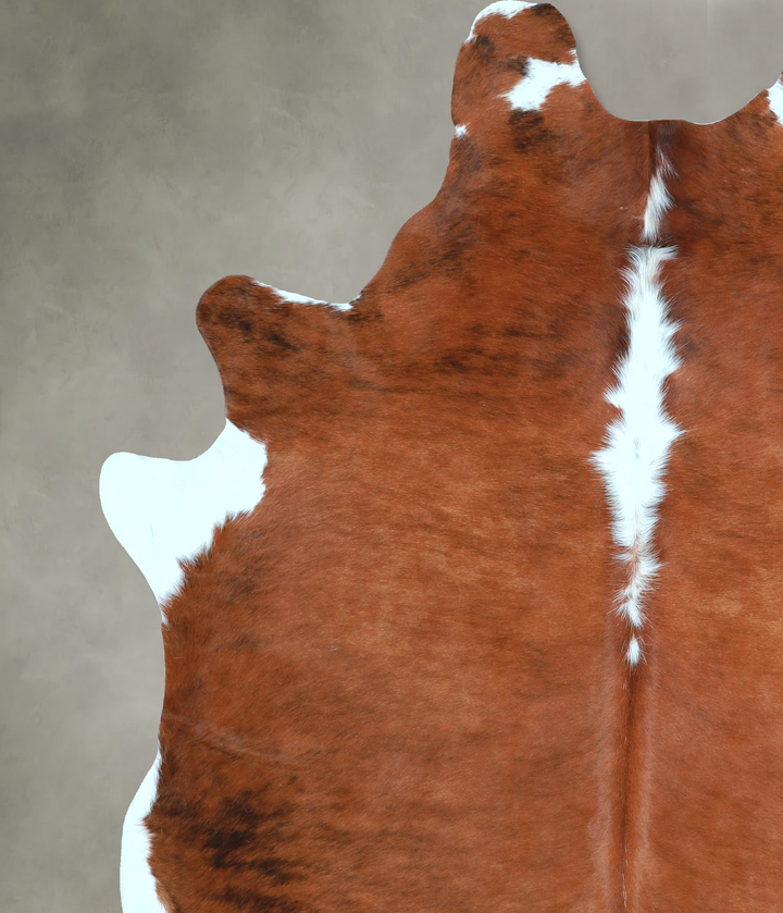 Tricolor X-Large Brazilian Cowhide Rug 7'2"H x 5'10"W #A48728 by Hudson Hides