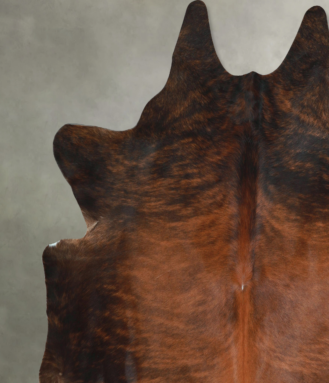 Dark Brindle XX-Large Brazilian Cowhide Rug 8'3"H x 7'7"W #A48739 by H