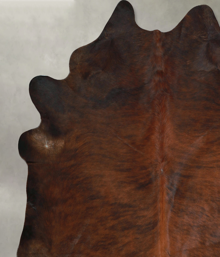 Dark Brindle XX-Large Brazilian Cowhide Rug 7'11"H x 7'7"W #A48742 by Hudson Hides
