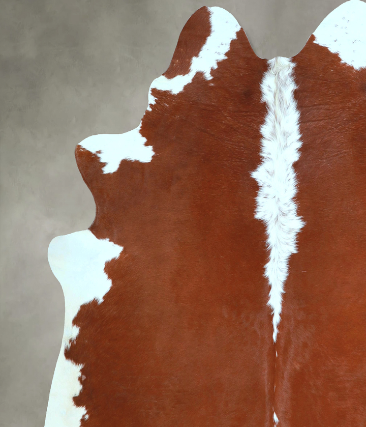 Hereford X-Large Brazilian Cowhide Rug 6'8"H x 6'3"W #A48752 by Hudson Hides