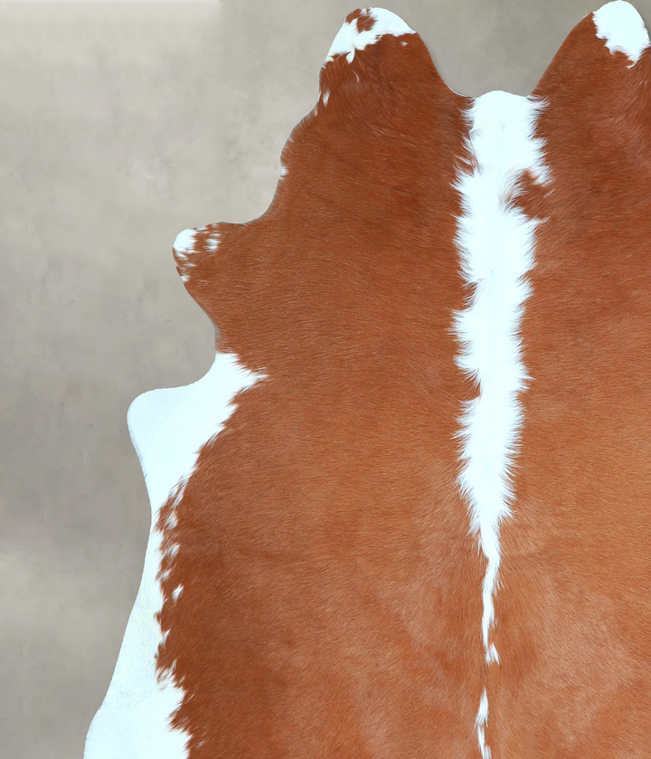 Hereford X-Large Brazilian Cowhide Rug 6'6"H x 6'6"W #A48755 by Hudson Hides
