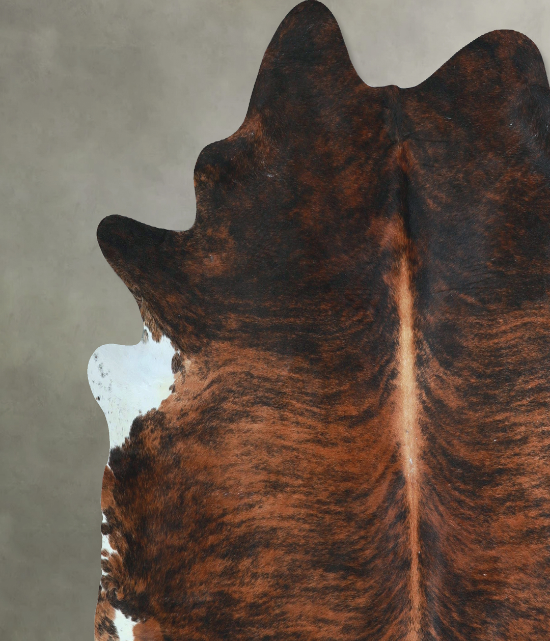 Dark Brindle XX-Large Brazilian Cowhide Rug 7'6"H x 7'7"W #A48811 by H