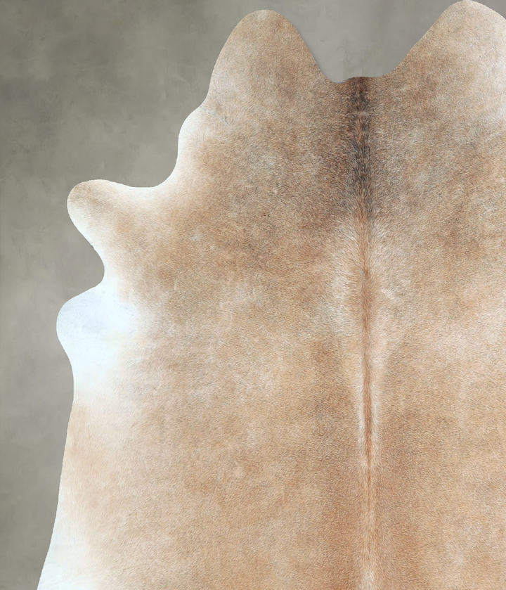 Grey with Beige X-Large Brazilian Cowhide Rug 6'9"H x 6'3"W #A48828 by Hudson Hides