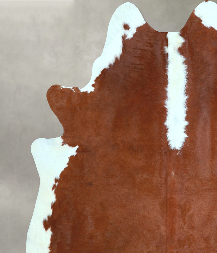 Hereford X-Large Brazilian Cowhide Rug 6'9"H x 6'0"W #A48835 by Hudson Hides