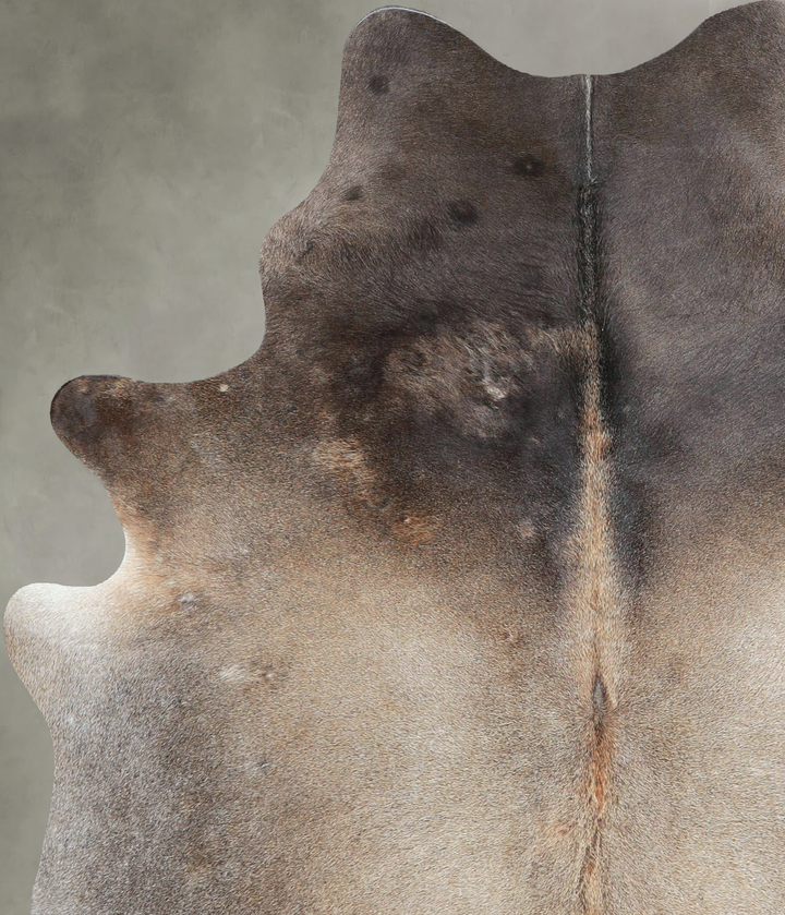 Grey with Beige Large Brazilian Cowhide Rug 6'7"H x 5'3"W #A48884 by Hudson Hides