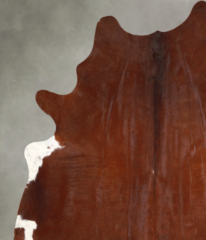 Solid Brown X-Large Brazilian Cowhide Rug 7'8"H x 6'4"W #A48907 by Hudson Hides