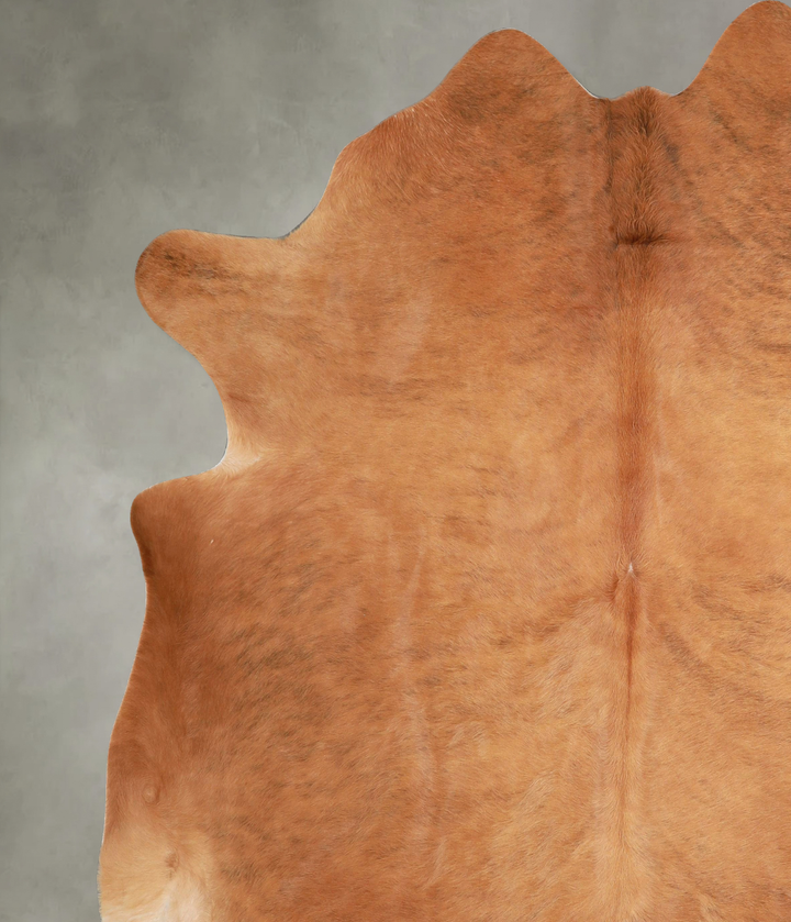 Solid Brown XX-Large Brazilian Cowhide Rug 8'3"H x 7'4"W #A48910 by Hudson Hides