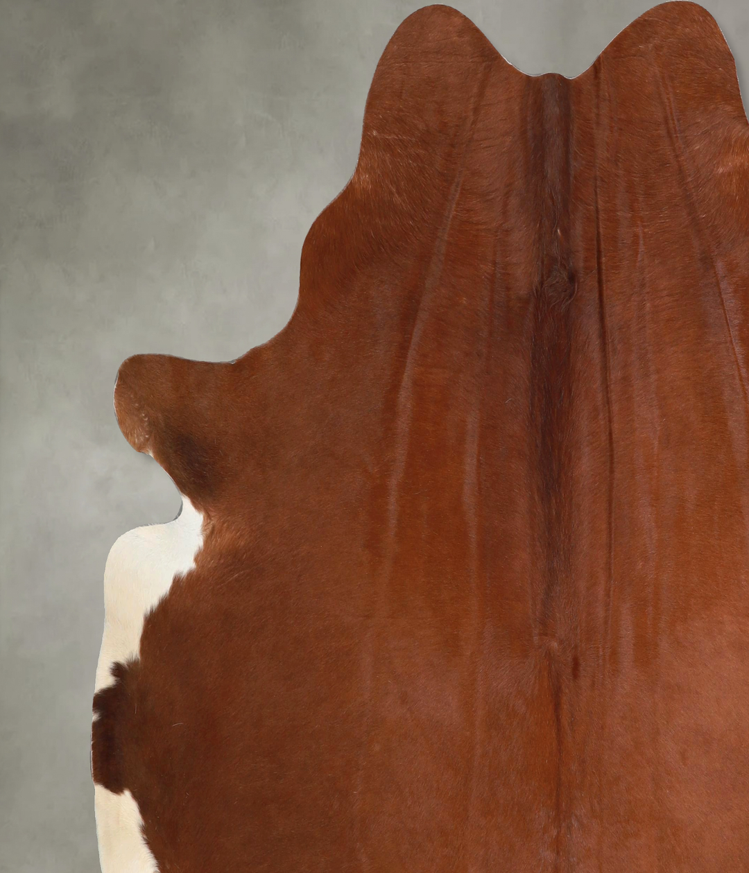 Solid Brown X-Large Brazilian Cowhide Rug 6'7"H x 6'7"W #A48911 by Hud