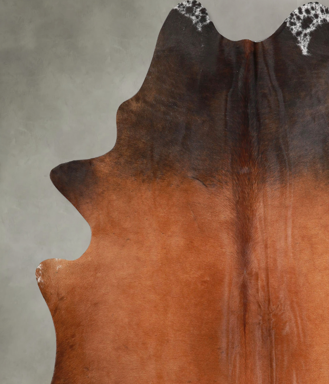 Warm Caramel X-Large Brazilian Cowhide Rug 7'4"H x 6'0"W #A48917 by Hu