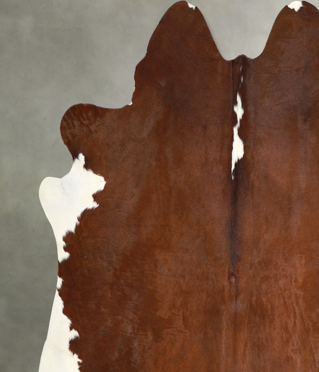 Brown and White Regular XX-Large Brazilian Cowhide Rug 7'0"H x 7'6"W #